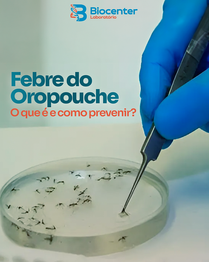 Febre do Oropouche: o que é e como prevenir?