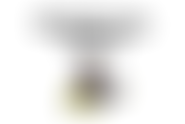 Buffalo Soldiers Legacy Scholarship