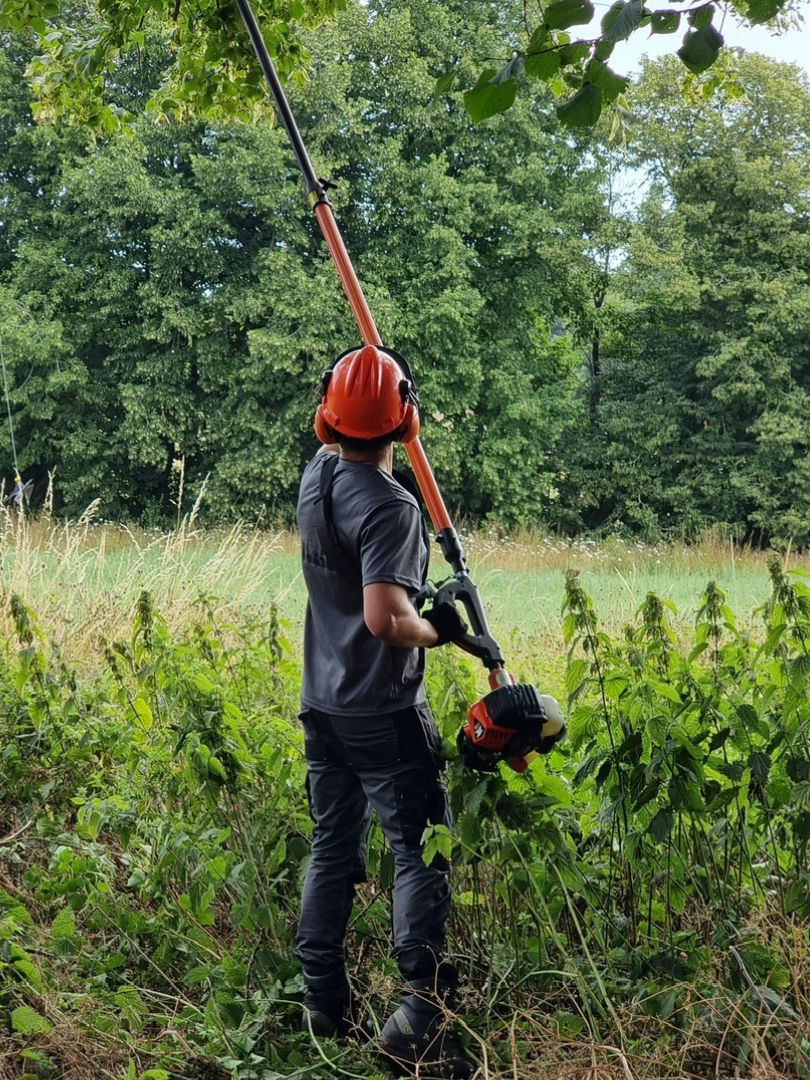A man using a powered pole pruner on a tree.