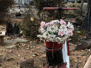 Wildfire damage in California with memorial flowers standing among burned homes and destroyed property