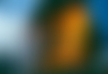 1976 Biosphère Fire