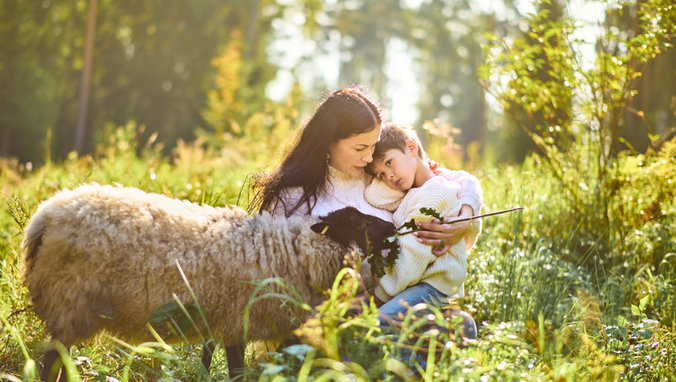 Kymenlaakson hyvinvointialue