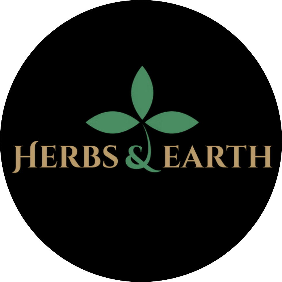 Your paragraph text-5