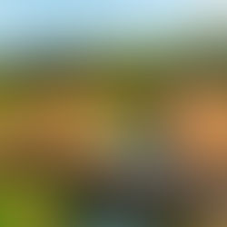 Budoucnost Ponávky, nová hřiště i úpravy veřejných prostranství