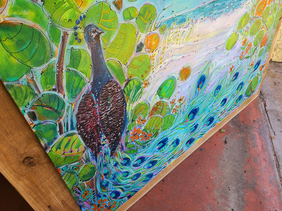 Thumbnail: Canaveral Peacock 3