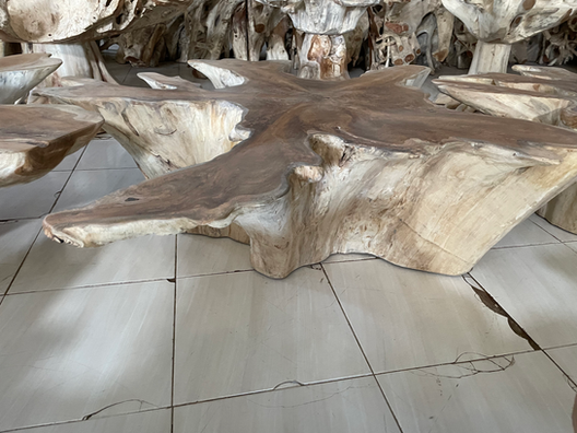 Wide natural teak root slab dining table with flowing live edges and solid carved base, large-scale hospitality furniture