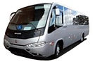 micro onibus executivo