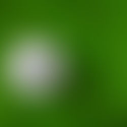 57. Pfingstturnier 2026