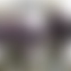 Exklusiver Pop-up Mustersale