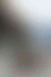 HOTEL ROOMS KAZBEGI, GEORGIEN