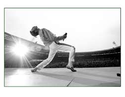Pose für die Ewigkeit: Freddie Mercury im Wembley Stadion, London 1986 Foto: Neal Preston/Limelight 