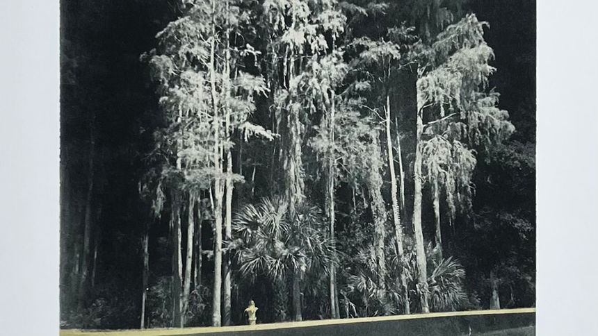 Susan Henley Fredricks