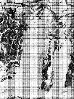MOSHED-2023-5-12-0-19-16.gif