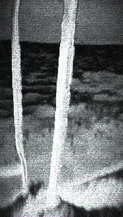 IMG_4616.GIF