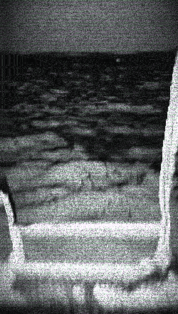 IMG_4617.GIF