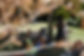 LBG_1108_edited.jpg