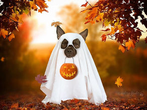 Happy Halloween!