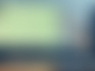 SoWi-Fachpreis für ausgezeichnete VWA