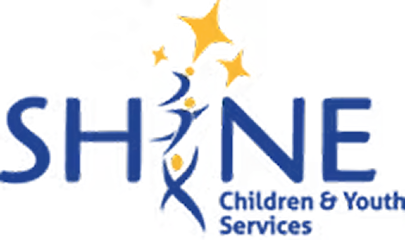 shine_log.png