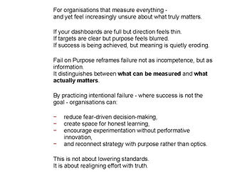 FailOnPurpose_13 - A5 (FINAL) 15 Dec 2025_Page_05.jpg