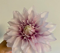S__7823383.jpg
