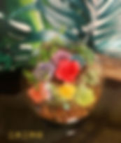 安娜的異想世界-2.jpeg
