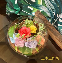 安娜的異想世界-3.jpeg