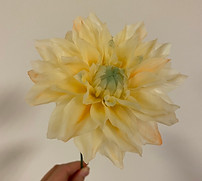 S__4530185.jpg