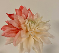 S__4964399.jpg