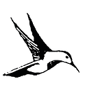 visla graphic leonard cohen hummingbird
