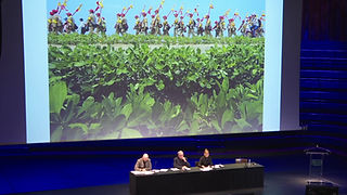 Miniature Fiorella.jpg