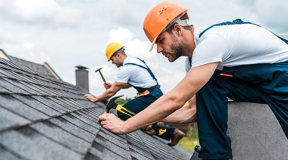 Fixing the Roof.jpeg