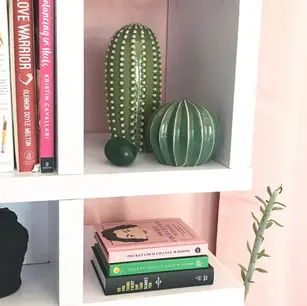 Bookshelf with books and decorative cactus objects.