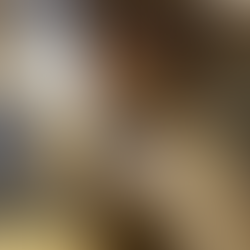 Hamster Manicure 101: Tips and Tricks for Perfect Paws!