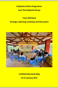 Save The Elephants 2022.png