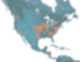 DHF - Map of Churches (web).png