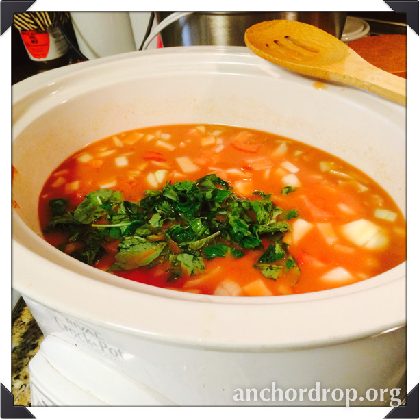 Soup in a crock pot