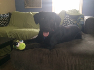 Lola