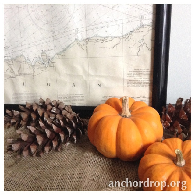 Pumpkins and Pine Cones