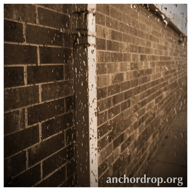 Brick wall in the rain