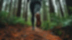 woman-runs-forest-path-lush-green-forest.jpg