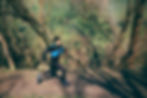 man-running-park-forest-against-trees-space.jpg