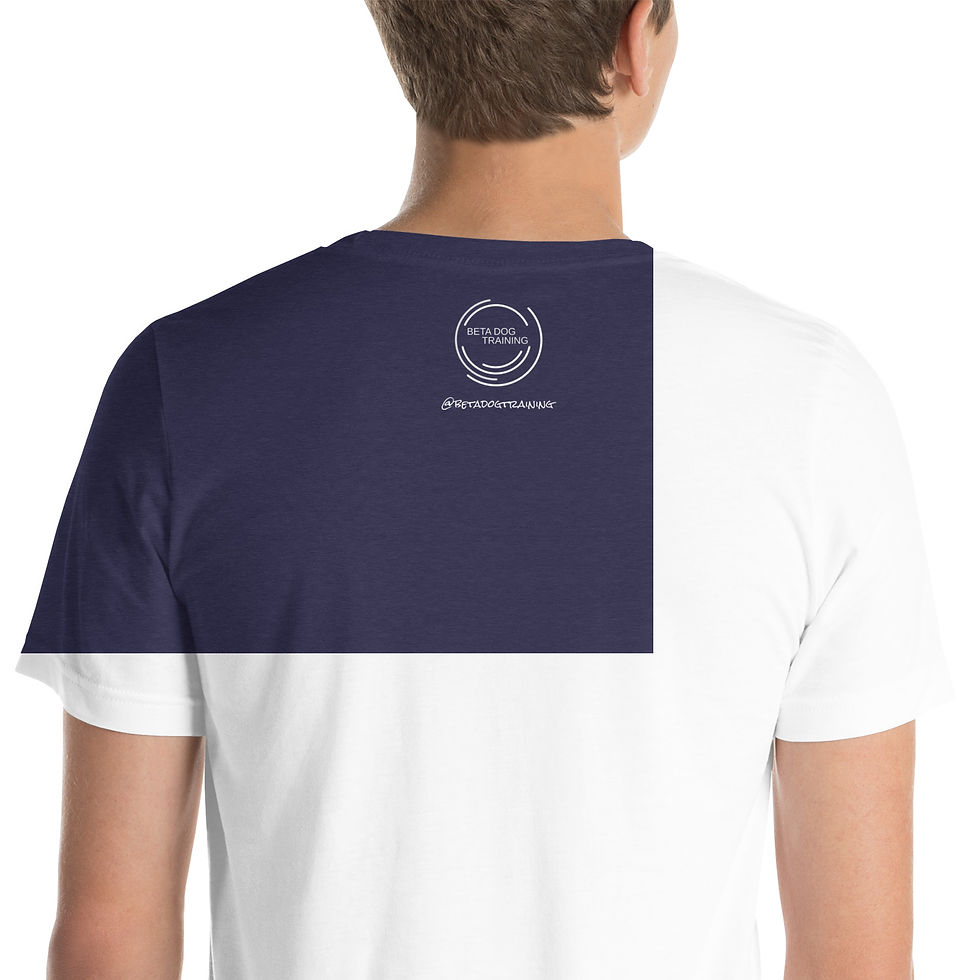 Thumbnail: Should you pet flowchart unisex T-shirt