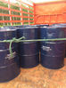 First order of Thai-Trang Rubber company