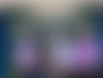 Trang Chamber visited Thai-Trang Rubber Co.,Ltd. Cr.Chainarong