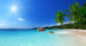 hawaii resort.jpeg