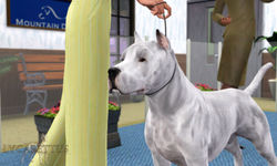 SUWC's 10th Working Group Show