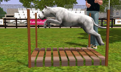 Pixelpfote's 1st Mondioring Trial