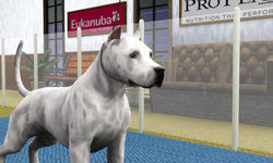 SUWC 5th Premier Qualifier Show C