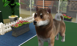 SUKC Multi-Group Show